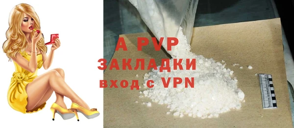 сатива Аркадак