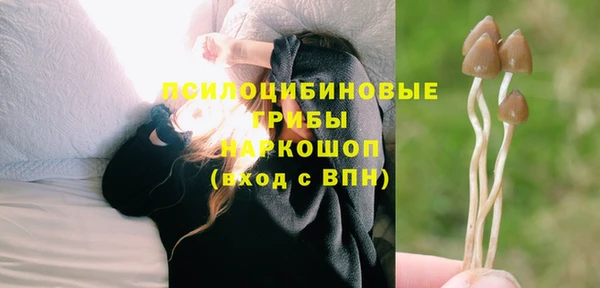 крисы Арсеньев