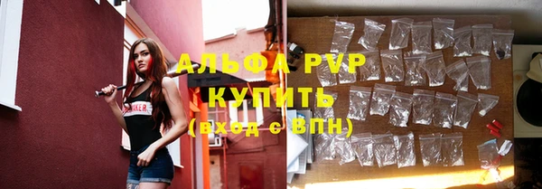 крисы Арсеньев